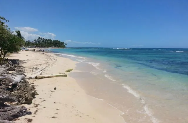 Playa Fior Di Loto Juan Dolio Republica Dominicana